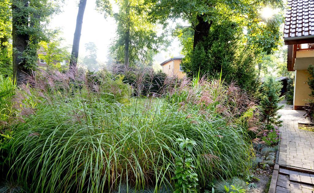 Am Katharinenholz Potsdam